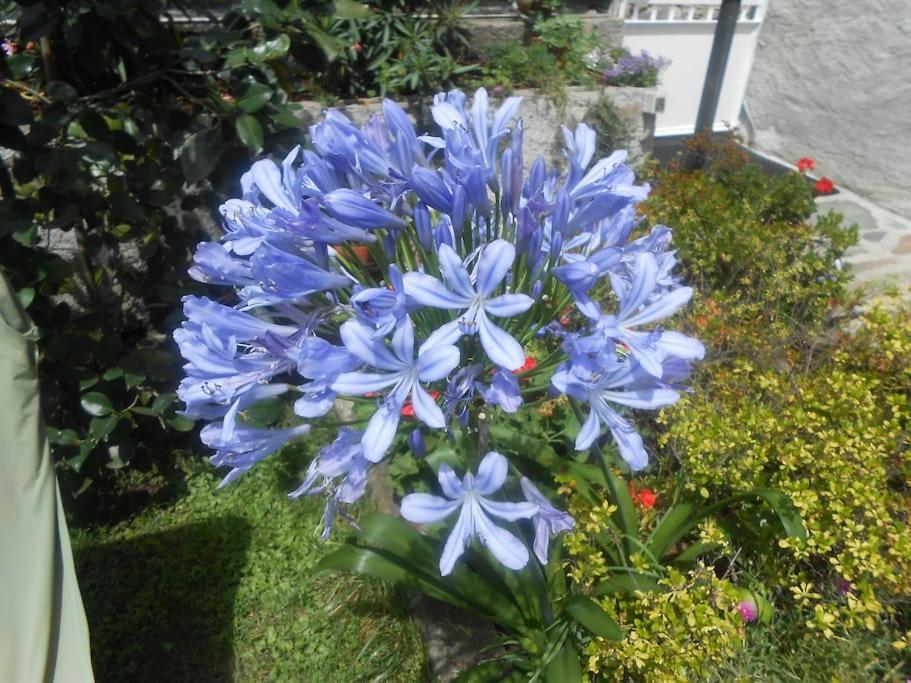 فيلا Casa Colori Poggiridenti المظهر الخارجي الصورة